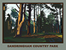 Bryan Harford: Sandringham Country Park